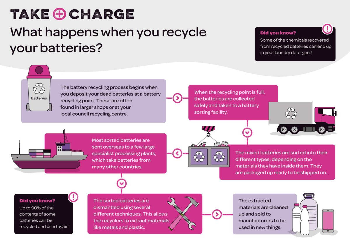 Illustration of an infographic that explains what happens to batteries when they get recycled
